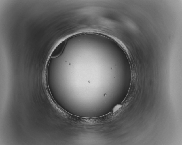 X0000116650911200912141253