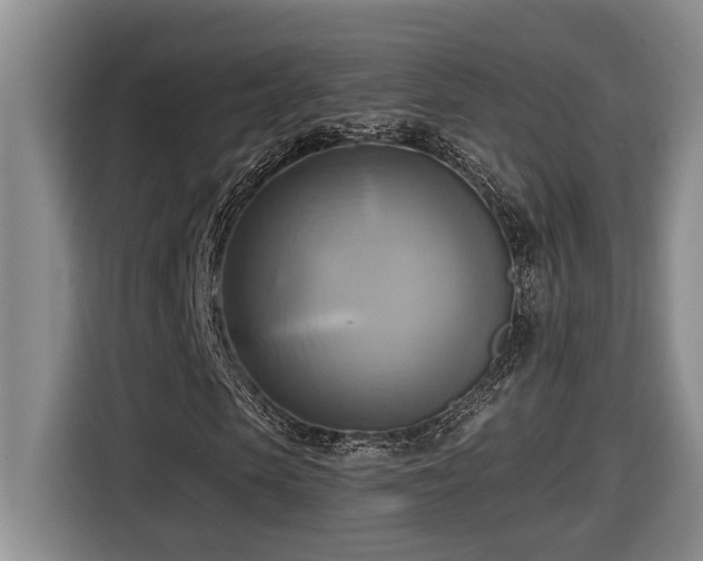 X0000116650913200912141252