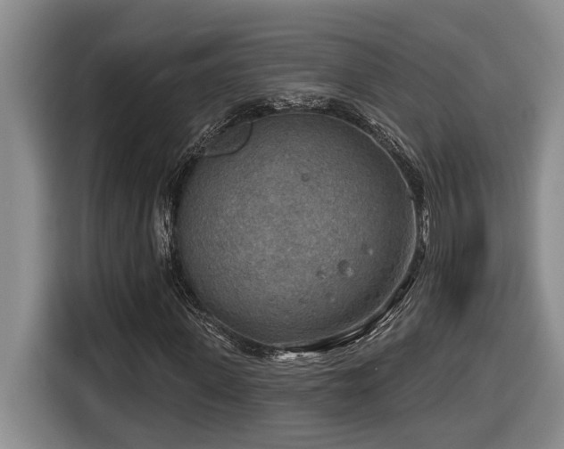 X0000116650915200912141252
