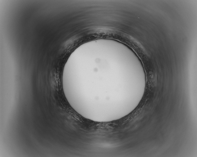 X0000116650918200912141252