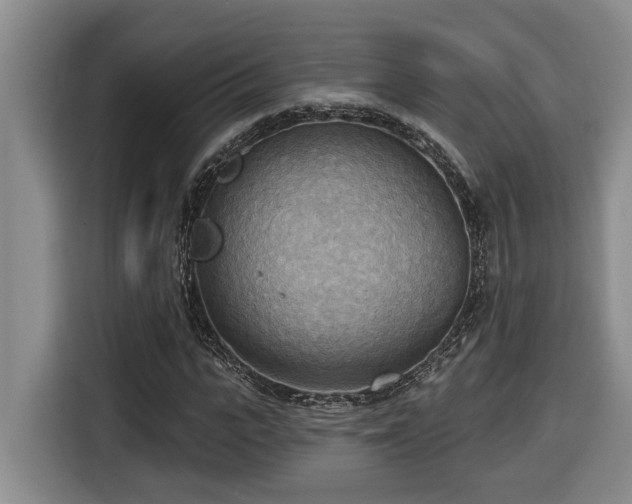 X0000116650919200912141252