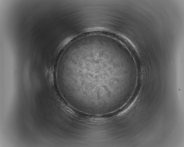 X0000116650921200912141252
