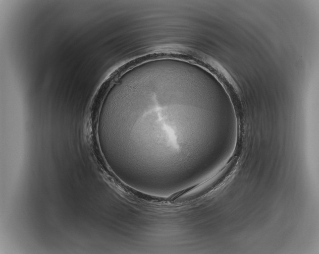 X0000116650923200912141252