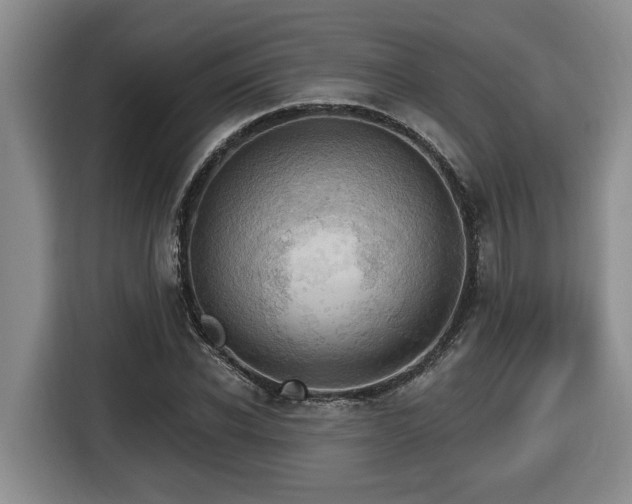 X0000116650926200912141252