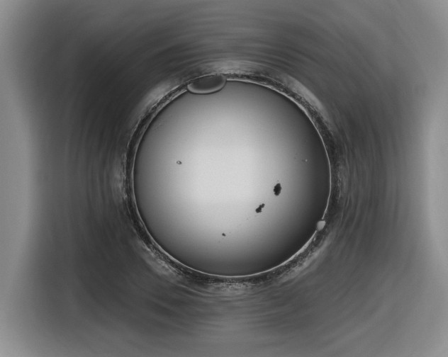 X0000116650930200912141252