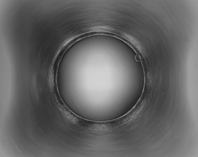 X0000116650931200912141252