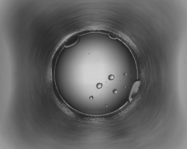 X0000116650934200912141252