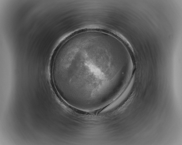 X0000116650935200912141252