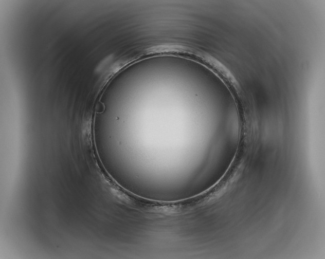 X0000116650937200912141252