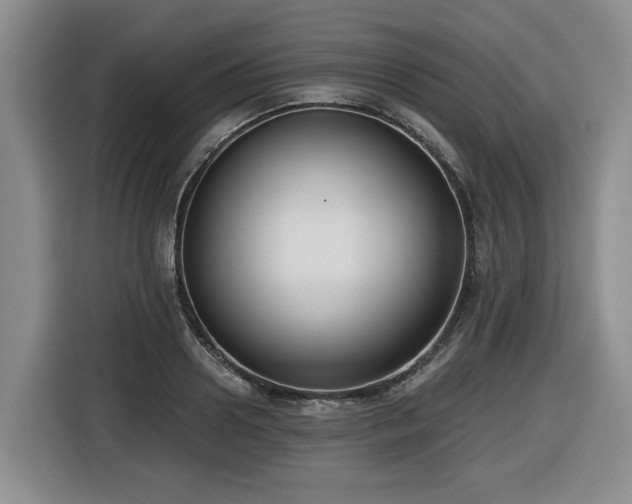 X0000116650938200912141252