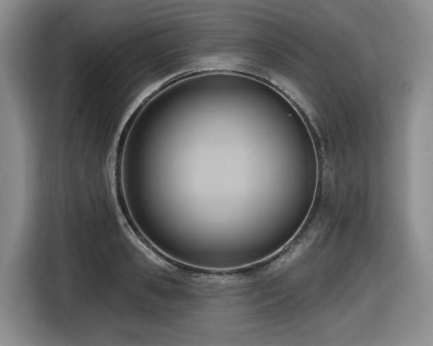 X0000116650941200912141252