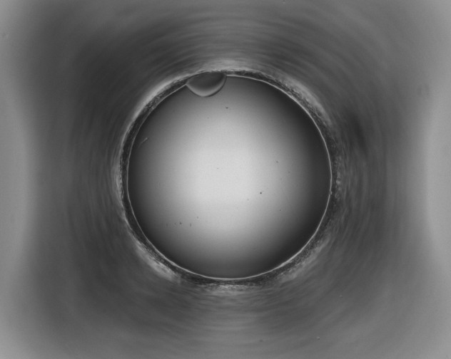 X0000116650942200912141252
