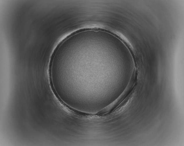 X0000116650943200912141252