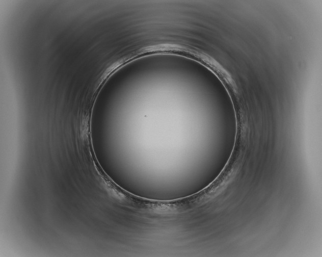 X0000116650945200912141252
