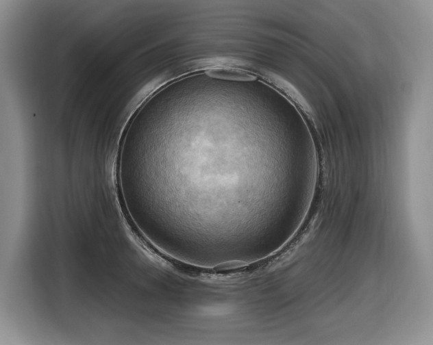 X0000116650946200912141253