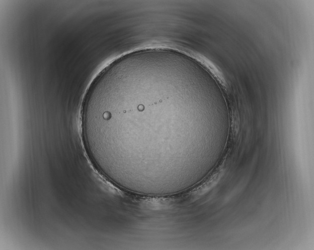 X0000116650950200912141253