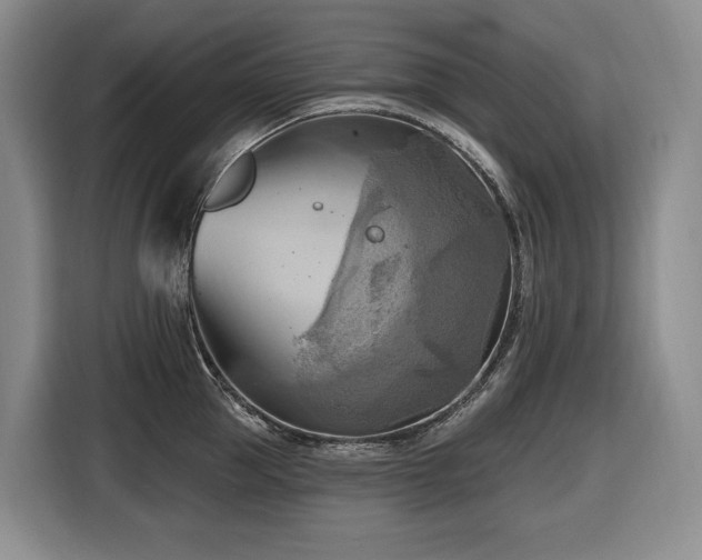 X0000116650953200912141253