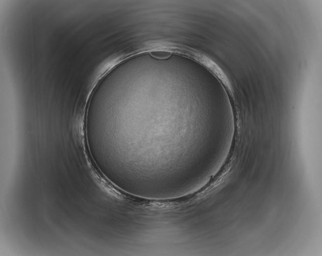 X0000116650954200912141253