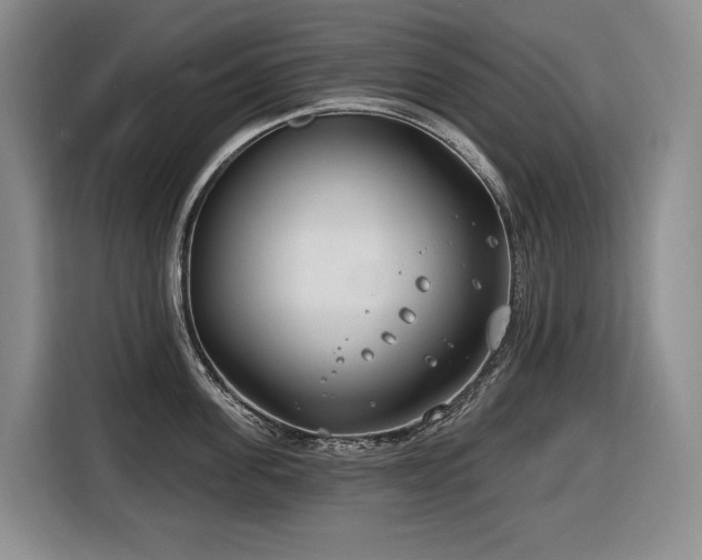 X0000116650955200912141253