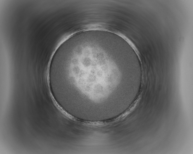 X0000116650957200912141253