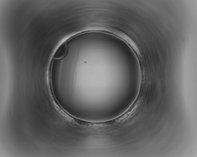 X0000116650958200912141253