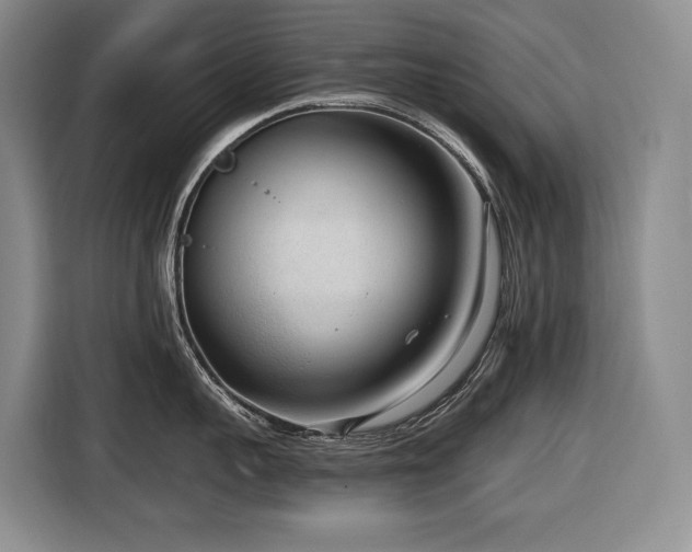 X0000116650959200912141253