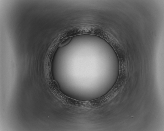 X0000116650961200912141252