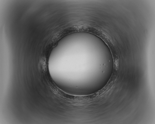 X0000116650963200912141252