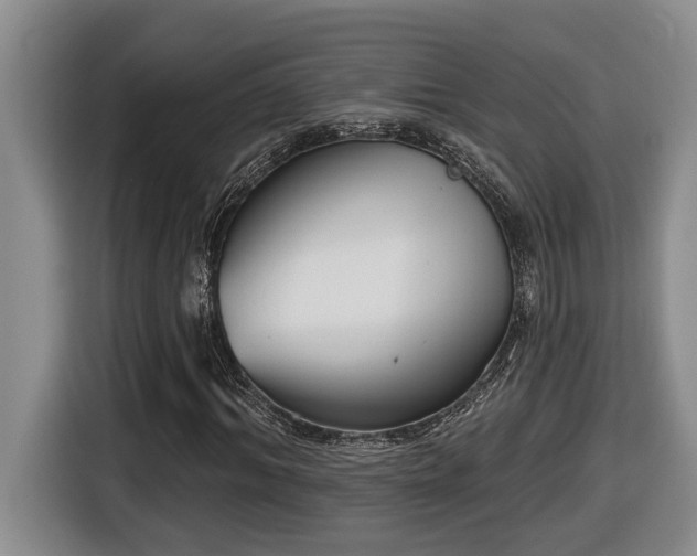 X0000116650964200912141252