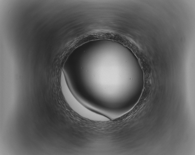 X0000116650965200912141252