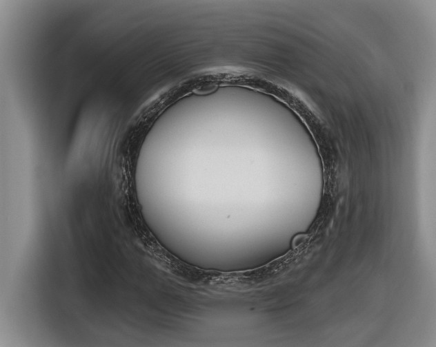 X0000116650967200912141252