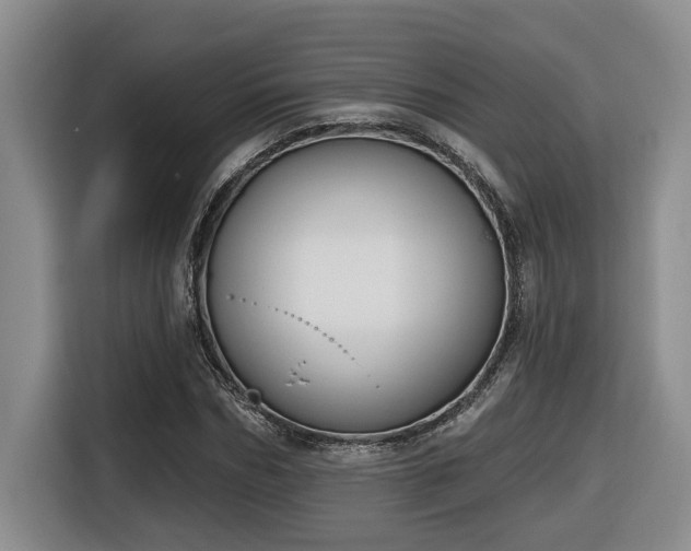 X0000116650970200912141252
