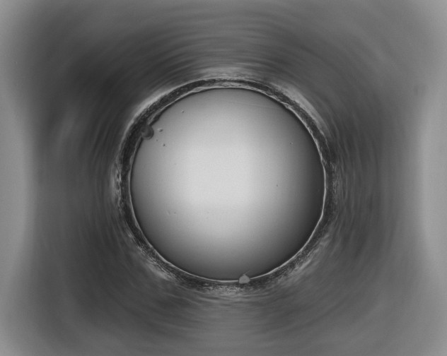 X0000116650971200912141252