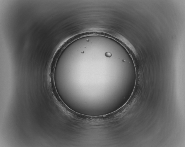 X0000116650972200912141252