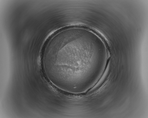 X0000116650975200912141252