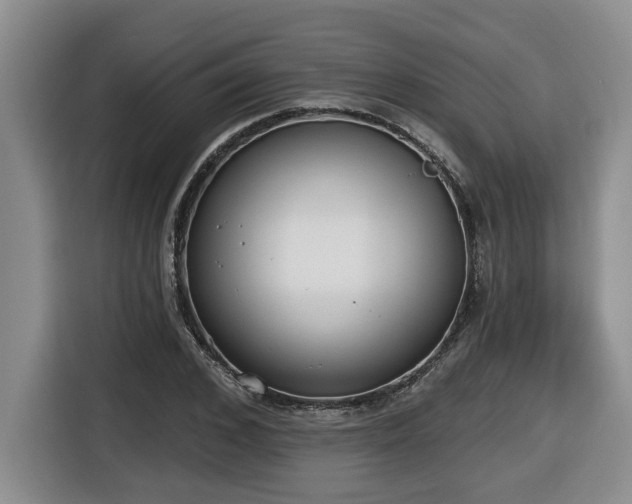 X0000116650976200912141252