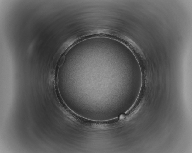 X0000116650977200912141252