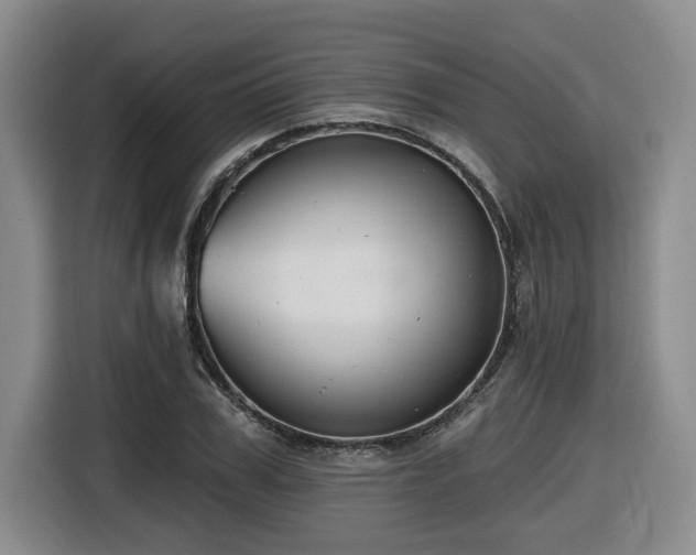X0000116650979200912141252