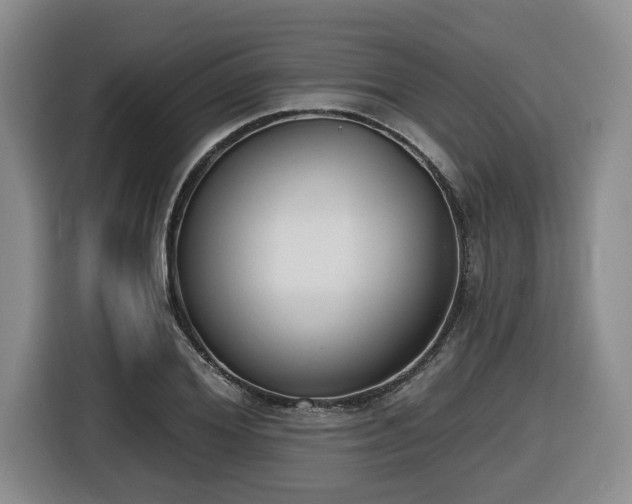 X0000116650980200912141252