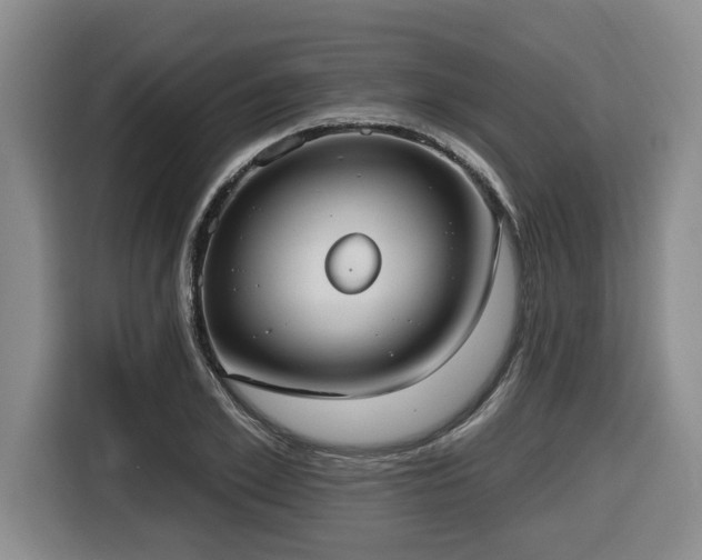 X0000116650981200912141252