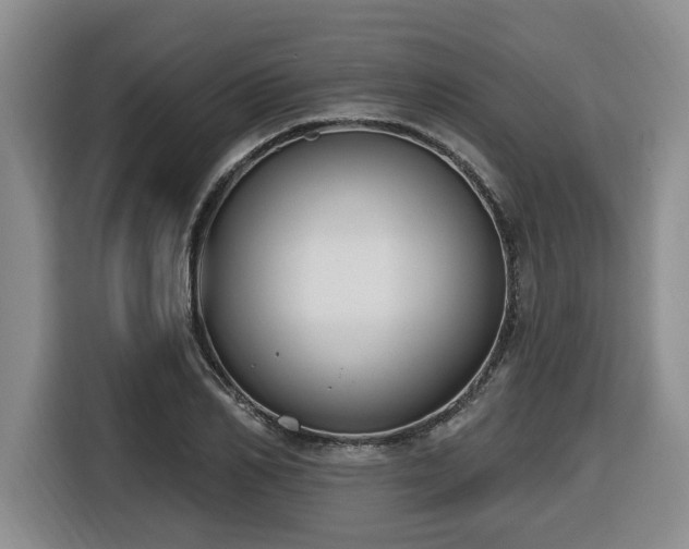 X0000116650982200912141252