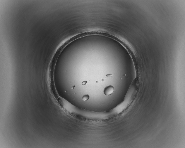 X0000116650983200912141252