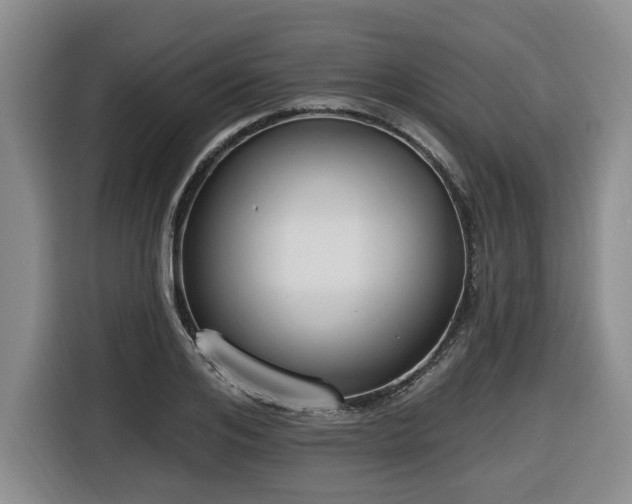 X0000116650984200912141252