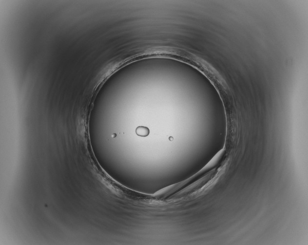 X0000116650985200912141252