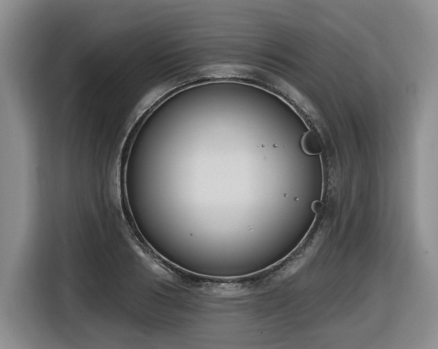 X0000116650986200912141252