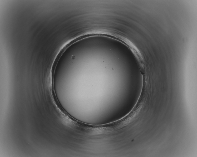 X0000116650988200912141252