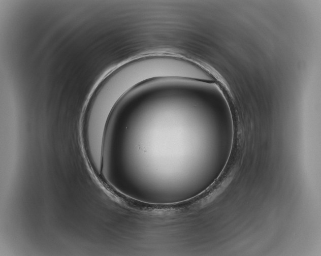 X0000116650989200912141252