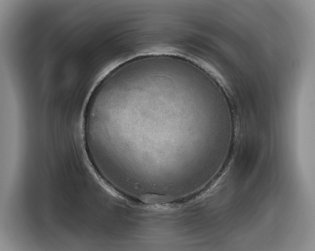 X0000116650990200912141252