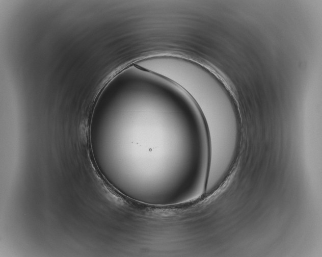 X0000116650993200912141252