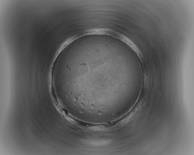 X0000116650994200912141252